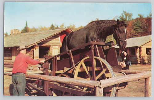 Postcard frontier town - frontier, ny