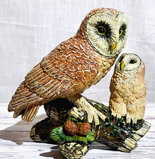 A.M Cooper (Ex Royal Doulton