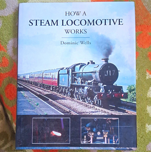Dominic wells how steam - wells,