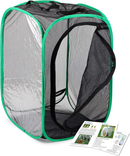 Insect and butterfly habitat - insect,