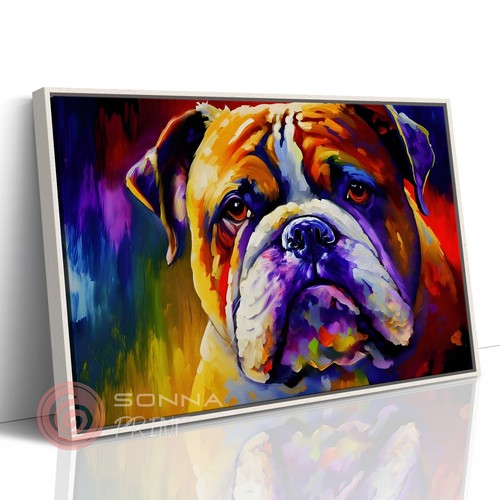 Cute english bulldog pet - english,