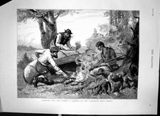 Antique Old Print Gumming The