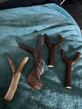 Natural Catapults / Slingshots