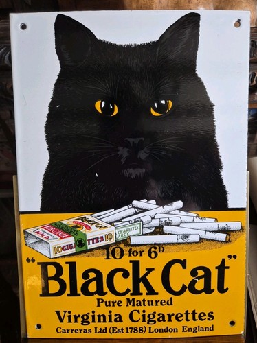Black cat virginia - cat",