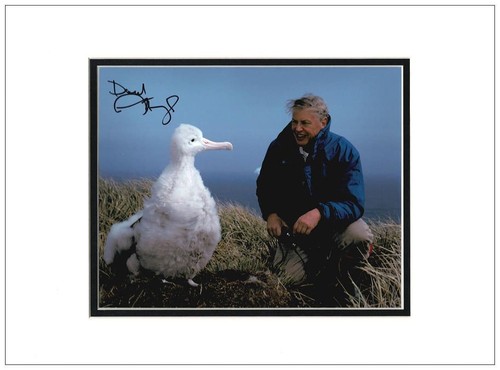 David attenborough autograph - attenborough,