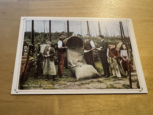 Postcard hop picking unknown - picking,