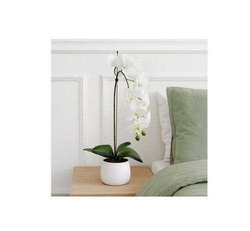 Greenbrokers 46cm phalaenopsis - greenbrokers,