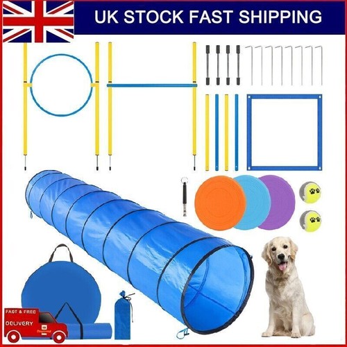 300cm dog agility equipment - dog,