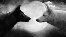 WOLF GLOSSY POSTER PICTURE