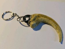 Painted Velociraptor Claw