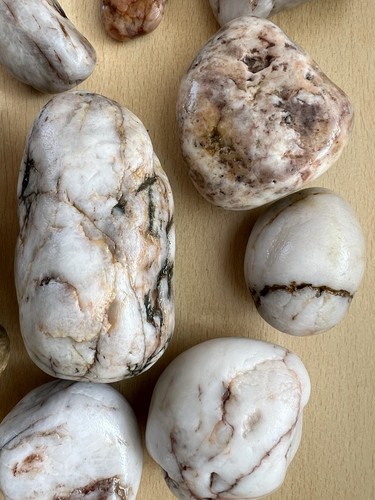 Aquarium stone fish tank - fish,