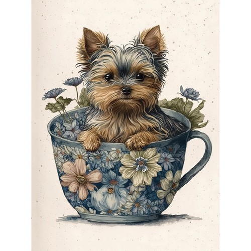 Teacup yorkshire terrier dog - teacup,