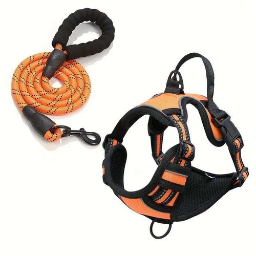 Dog harness and - harness, rope