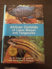African Cichlids of Lakes