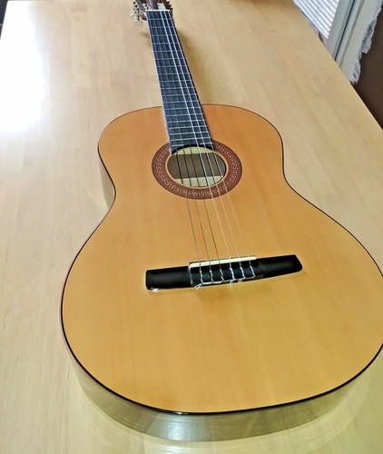 Acoustic guitar