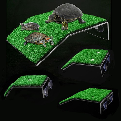 Turtle basking platform - turtle,