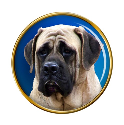 English mastiff lapel pin - mastiff,