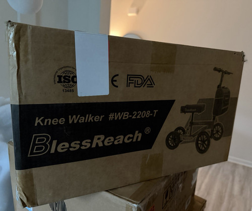Blessreach economy steerable - economy,