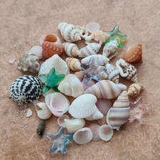 MINIATURE shells mix 1:12th