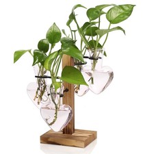 CYZglass Plant Terrarium