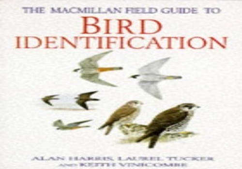 The macmillan field guide - macmillan,