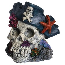 Aqua Spectra Skull with Pirate