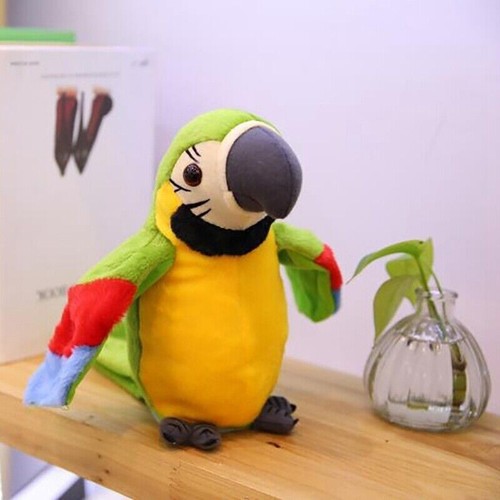 Talking parrot repeat what - talking,