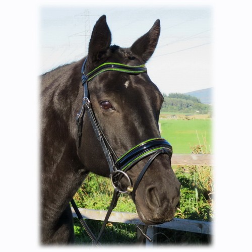 Fss anatomic bridle freeway - anatomic,