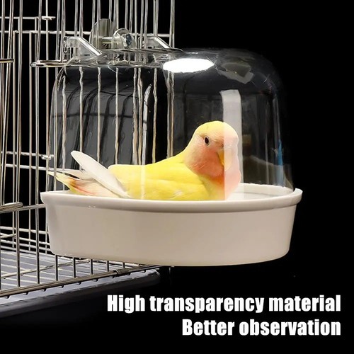 Clear hanging bird bath for - bird,