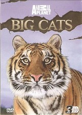 BIG CATS Discovery Channel  3