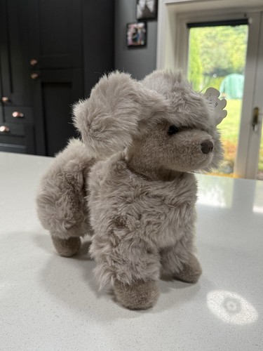 Günd soft poodle - poodle, toy