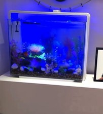 Superfish Home Aquarium with Filter Pump & LED Lighting "Natural & Blue"