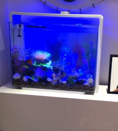 Superfish home aquarium with - superfish,
