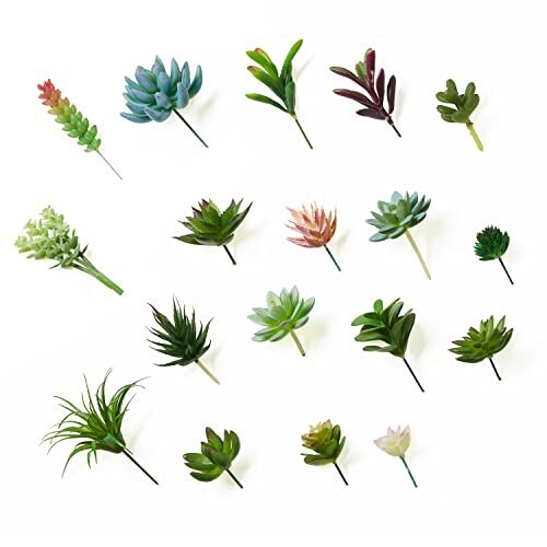Artificial succulent plants - succulent,