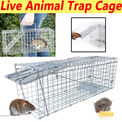 Rat trap single door - rat,