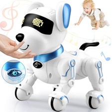 Remote Control Robot Dog Toy