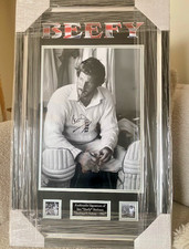 Ian Botham 'Beefy' Large