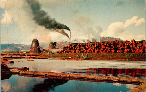 Log pond sawmill - sawmill, postcard