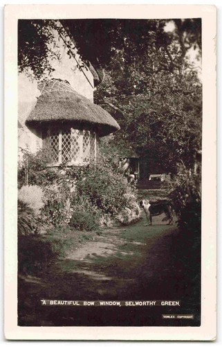 Selworthy green somerset - green,
