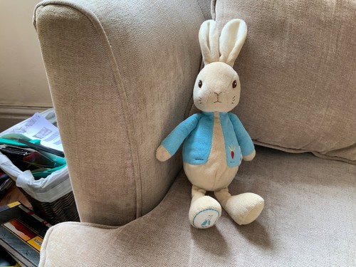 Delightful peter rabbit bunny - delightful,