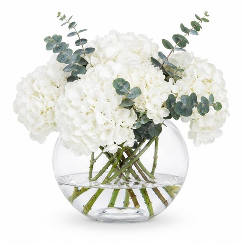 Clear glass flower vase - flower,