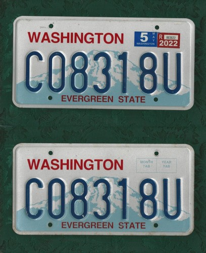 C08318u washington pair - washington,