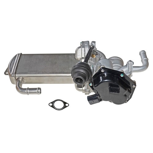 Egr valve cooler - cooler, for