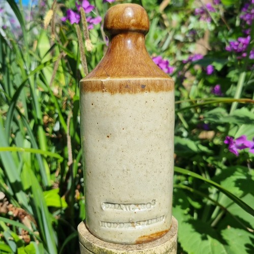 Old ginger beer - ginger, shaw
