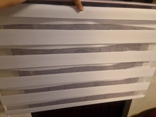 zebra double roller blind, white,