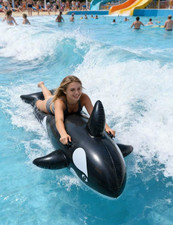 Inflatable shark mount - shark,