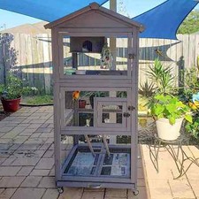 Bird Cage Outdoor Parakeet