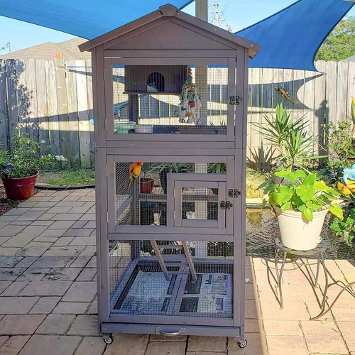 Bird cage outdoor - bird,