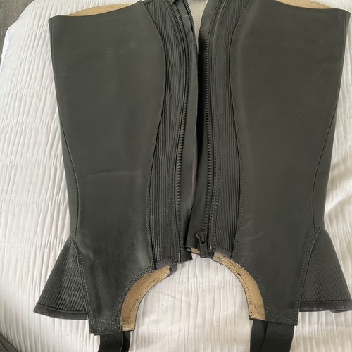 Horse riding equestrian - horse,