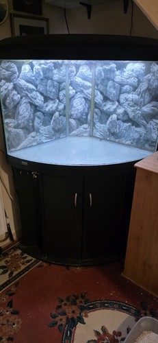 Aqua 700 corner - aqua, fish